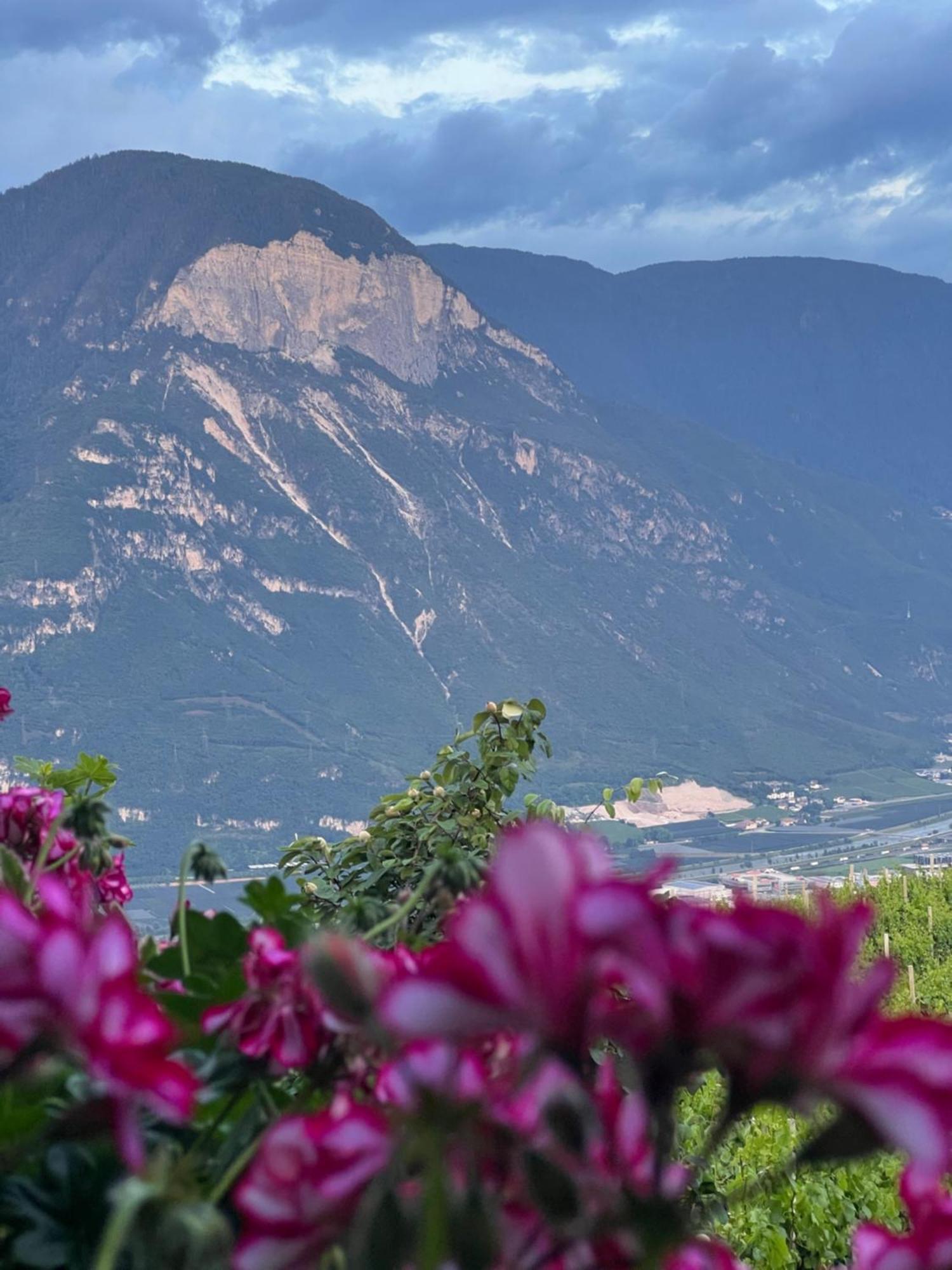 Kerschbamerhof Im Sueden Suedtirols Cortaccia Exteriér fotografie