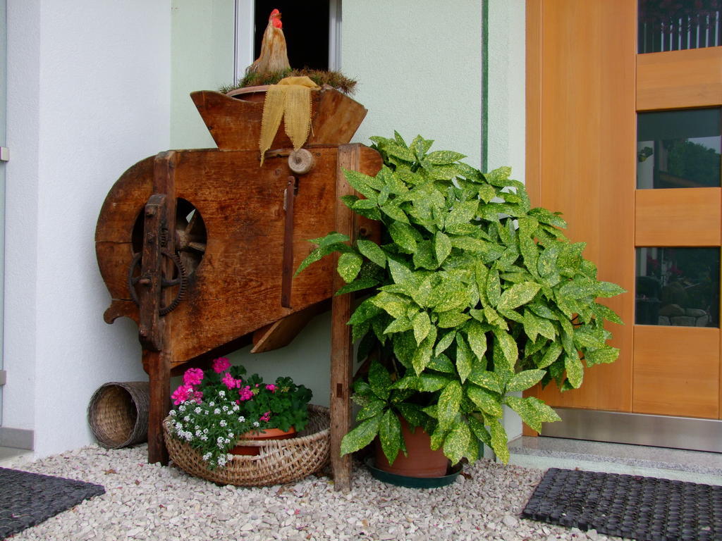 Kerschbamerhof Im Sueden Suedtirols Cortaccia Exteriér fotografie